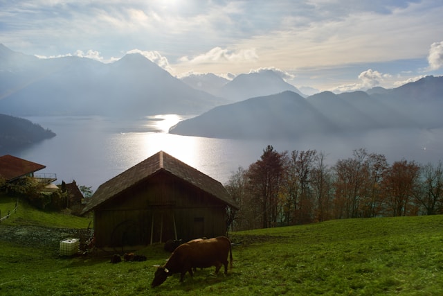 sentier des quatre lacs