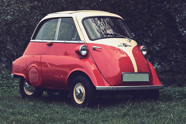 voiture sans permis