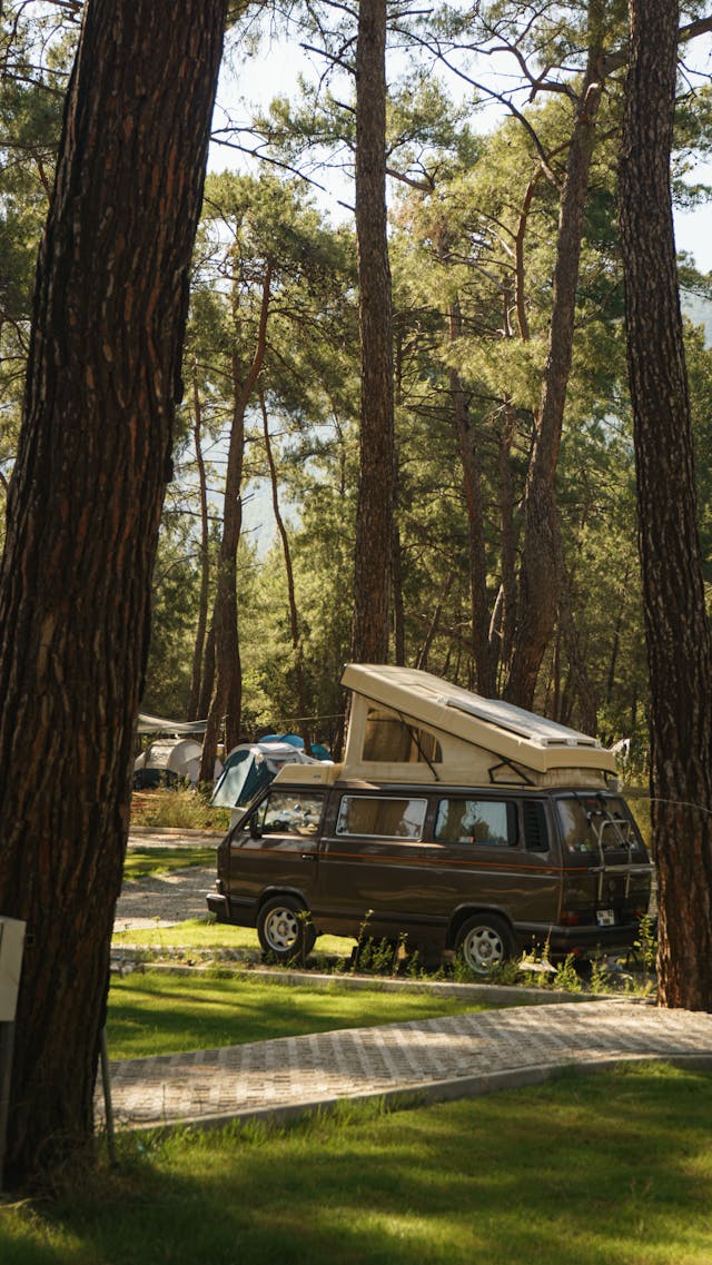 camping